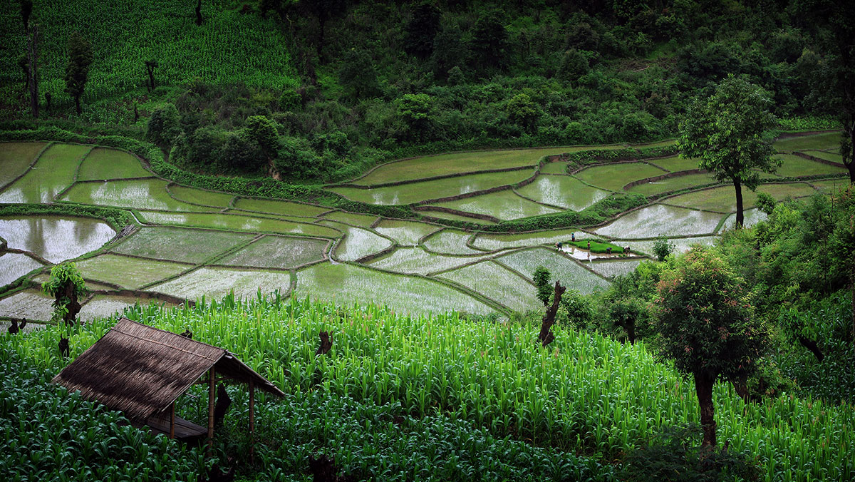 Rural Farming